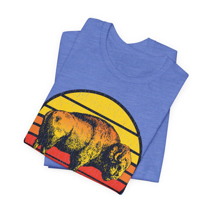 Badlands Retro Bison Sunset