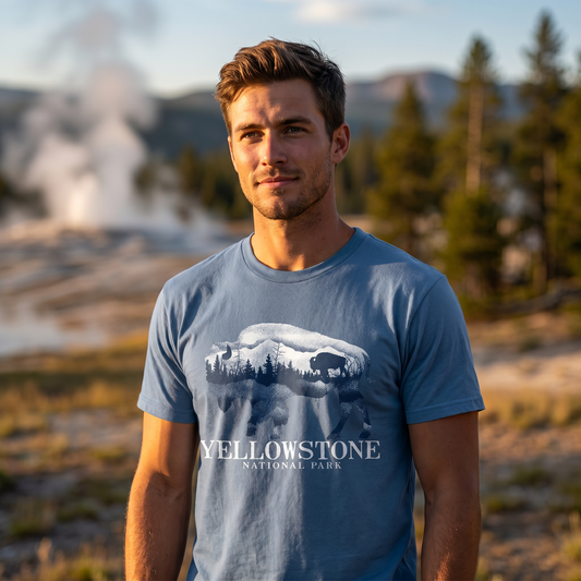 Yellowstone Buffalo Wilderness