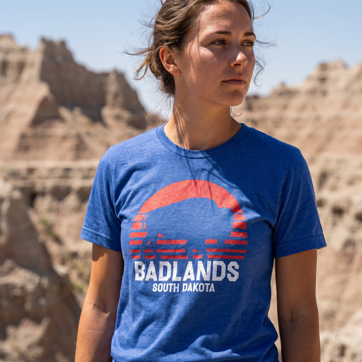 Badlands Sunset Bison
