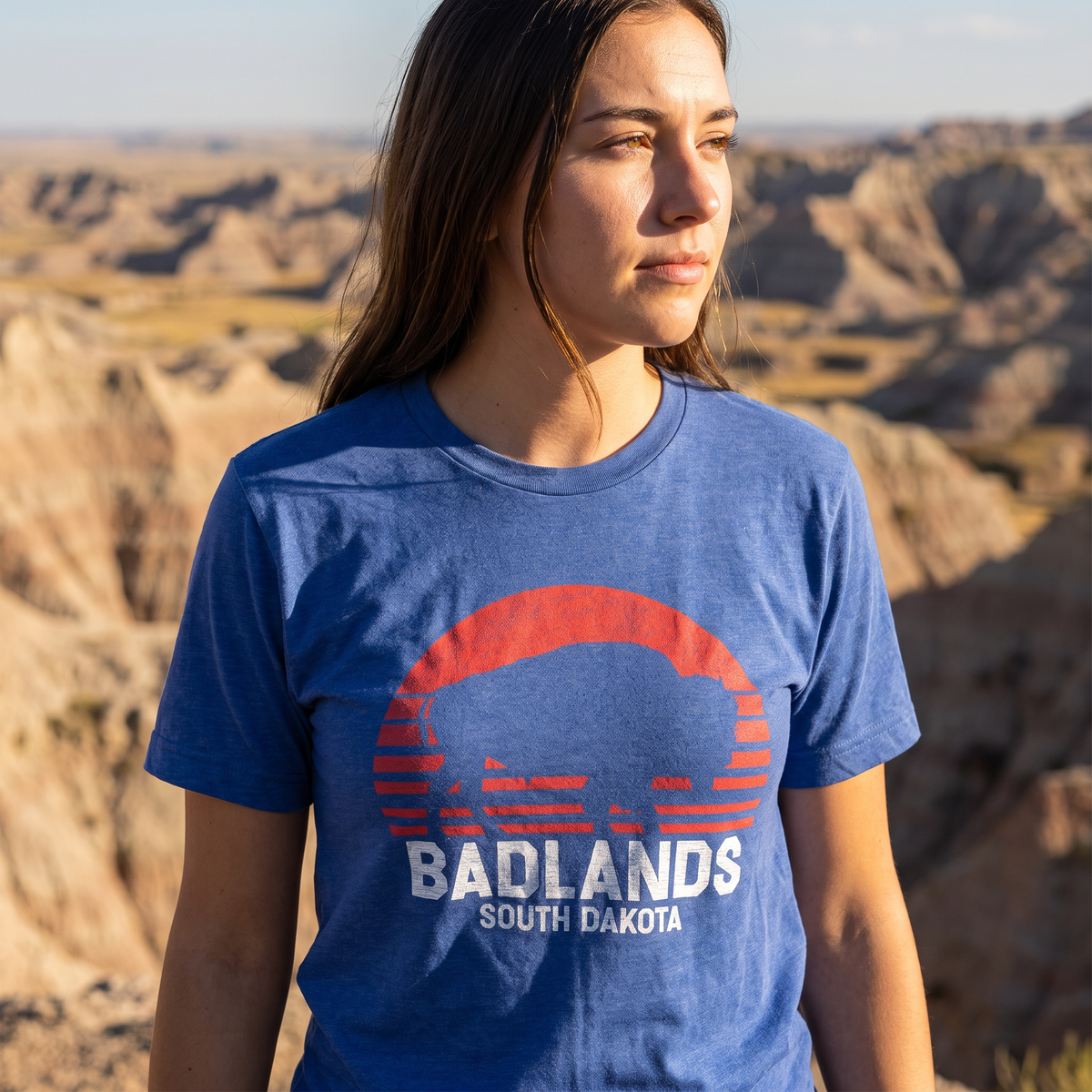 Badlands Sunset Bison