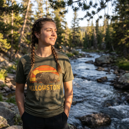Yellowstone Bison Sunset