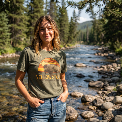 Yellowstone Bison Sunset