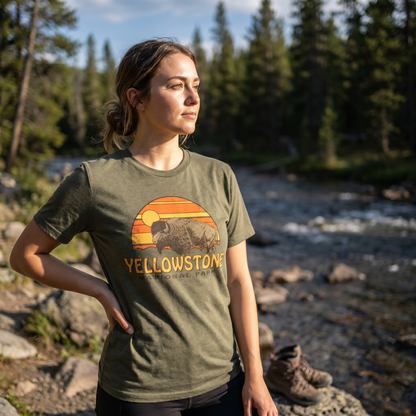 Yellowstone Bison Sunset